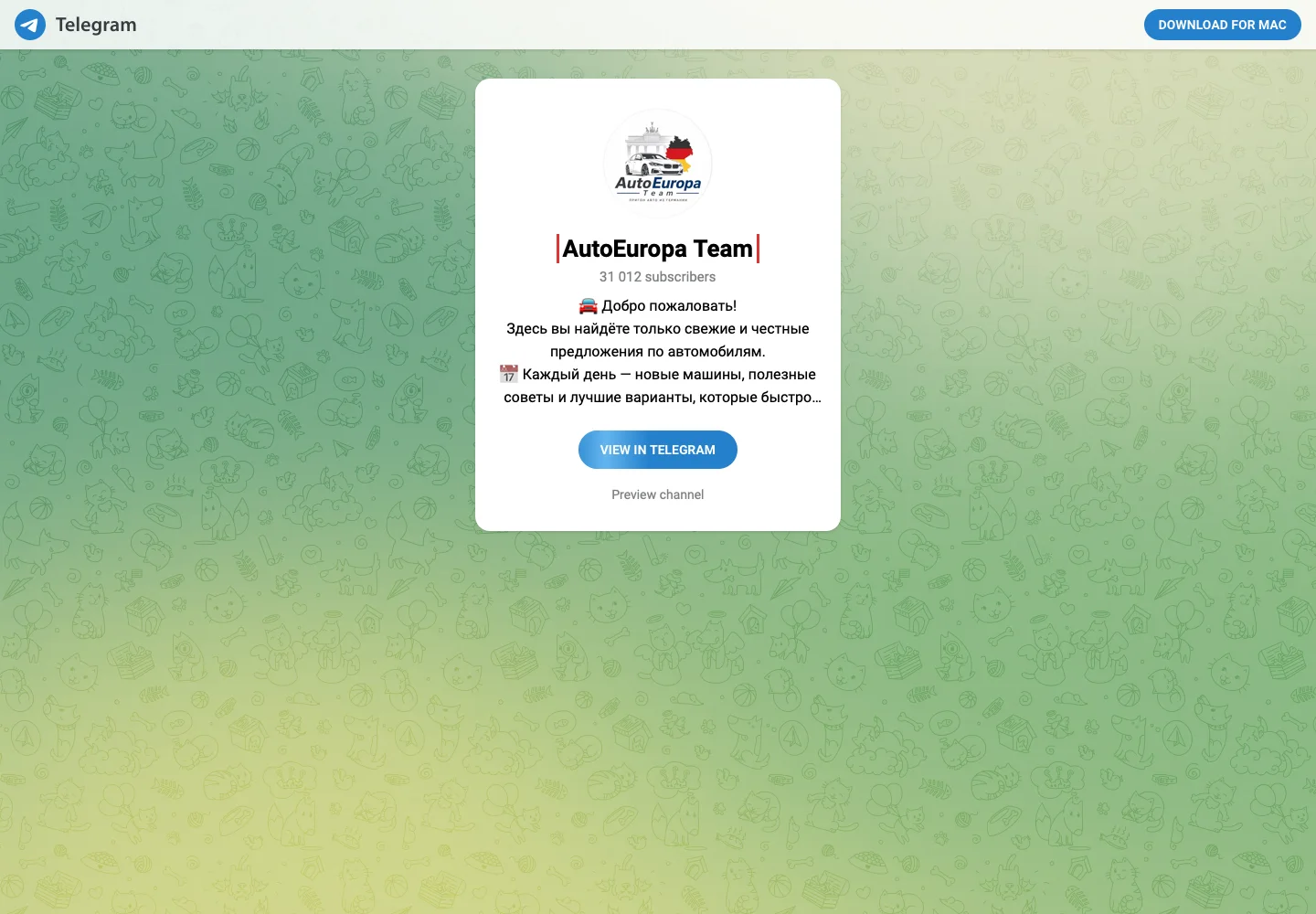 Публичная страница Telegram-канала AutoEuropa Team