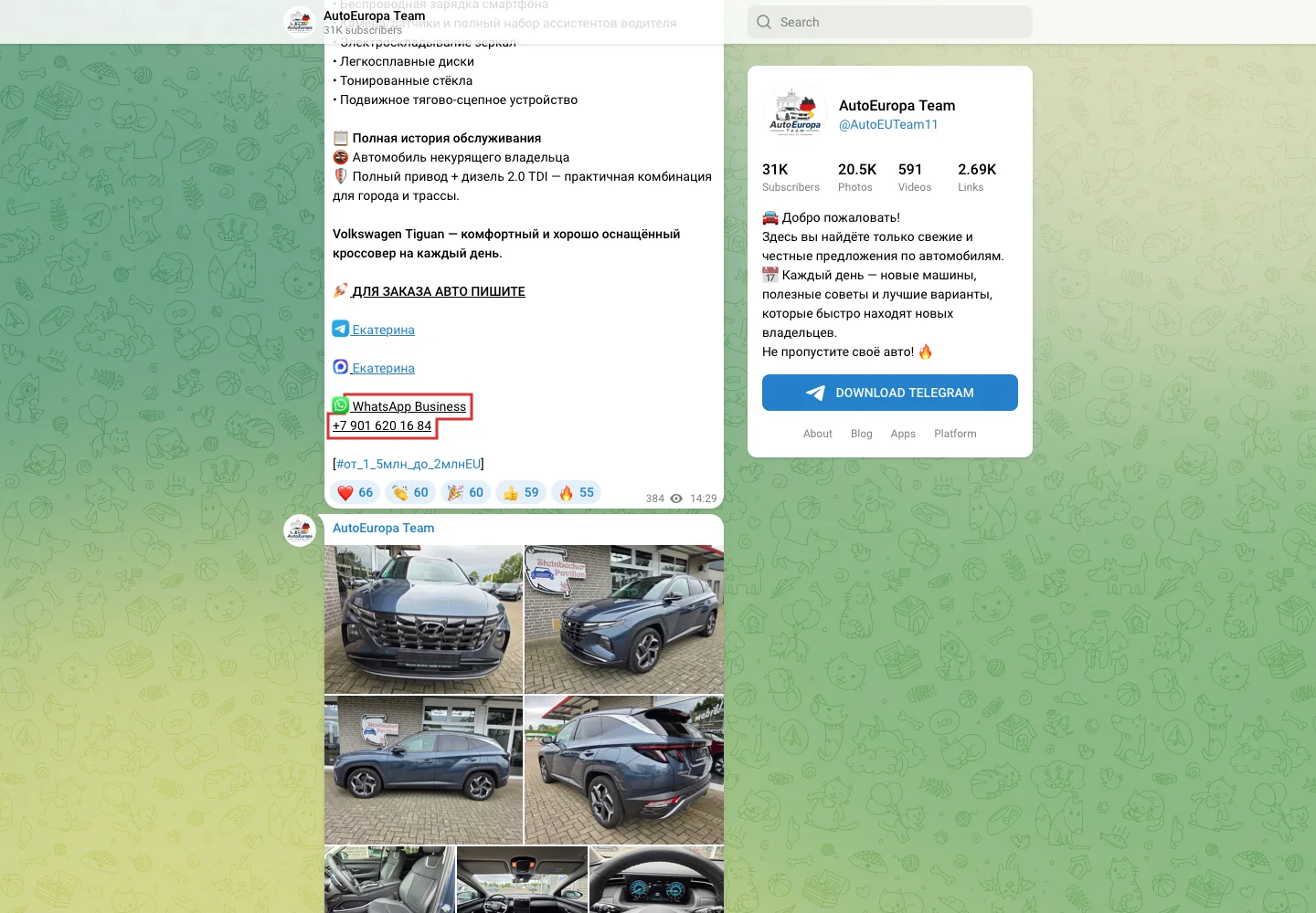 Фрагмент публикации AutoEuropa Team с контактным номером для заказа авто