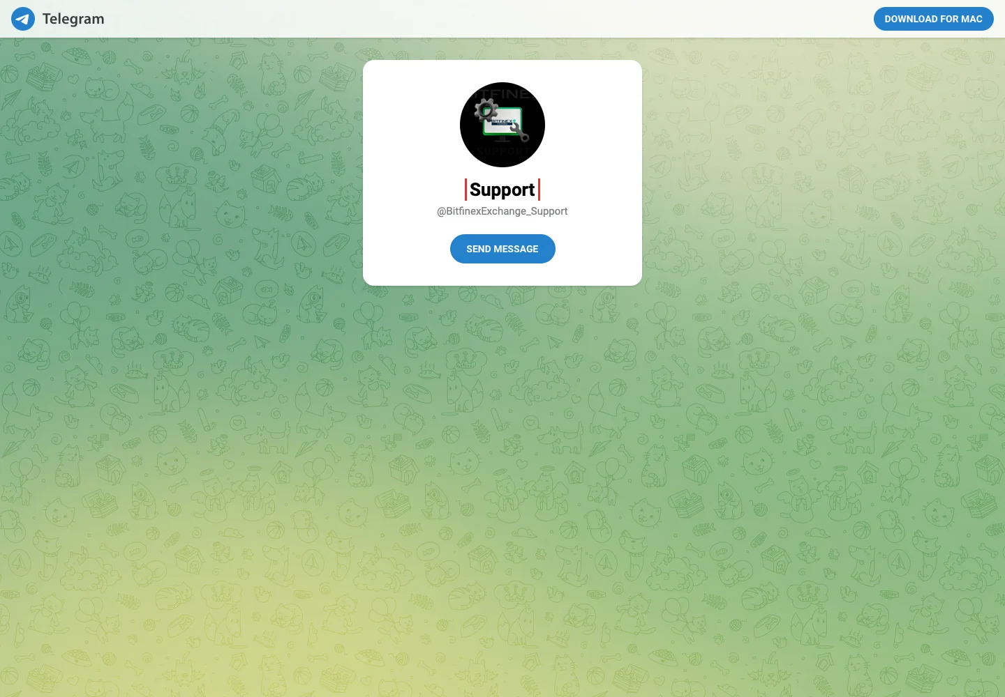 Публичная страница Telegram-аккаунта Support