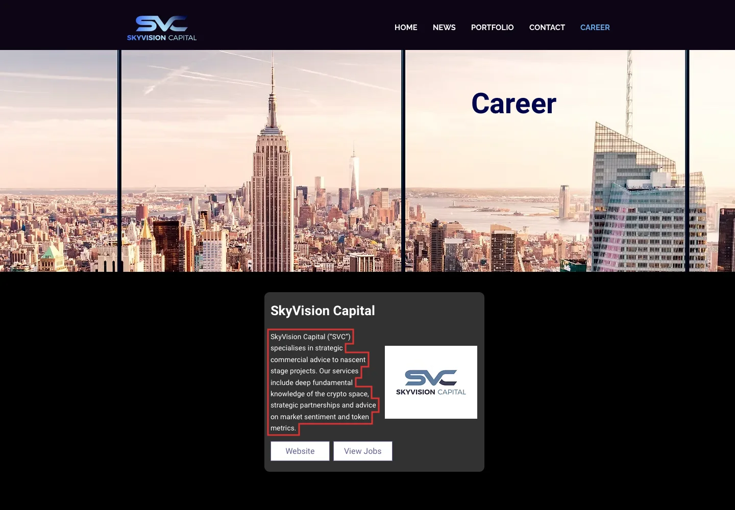 Страница Career с описанием услуг SkyVision Capital